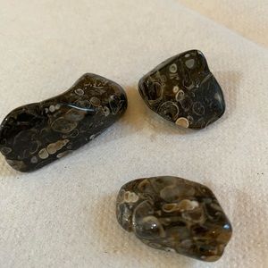 Turritella mineral polished stones, crystals.